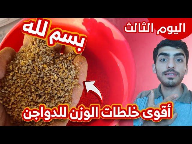 اليوم (3) أول خلطة مهمة عن الدواجن بسم لله 