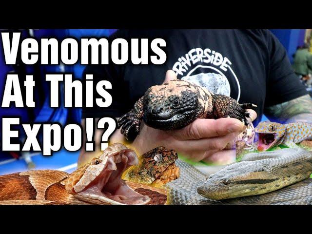 I Found INSANE Reptiles At This Reptile Expo