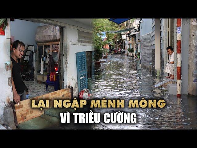 Quận 8 lại ngập mênh mông vì triều cường, người dân mang cả bao cát ra chắn nước