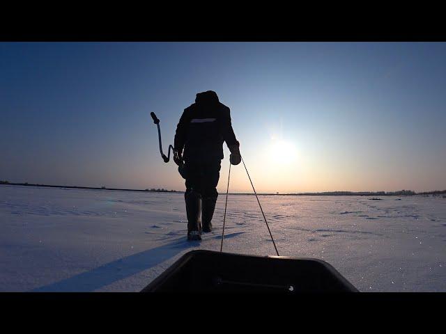 ВО ДУБАК. НЕ ХОТЯТ ЛЕЗТЬ В ЛУНКИ. РЫБАЛКА НА ЛЕЩА и СУДАКА В ПОСЛЕДНИЙ ДЕНЬ ЗИМЫ. Глухозимье на реке