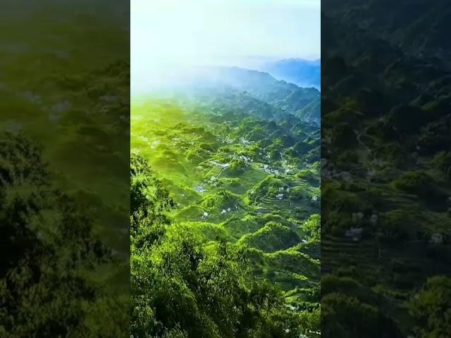 #natural forests #mountain green place video