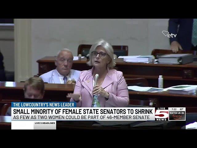 VIDEO: GOP women who fought abortion ban in SC struggle in reelection bids