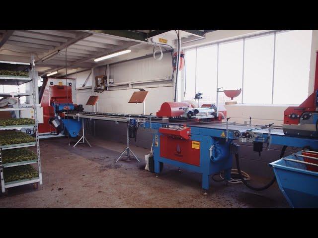 Urbinati Seeding and Manual Transplanting Line - Rotomation