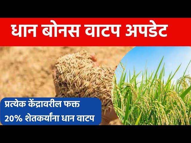 या जिल्ह्यातील धान उत्पादक 20% टक्के शेतकऱ्यांच्या खात्यात धान बोनस वाटप | paddy bonus verification