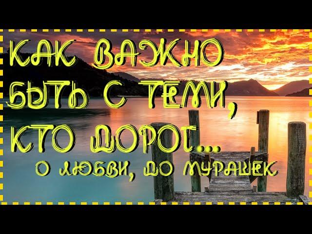 Очень душевный и мудрый стих о любви "Не ищите поводов для встречи" Алина Бондарева Читает Л. Юдин