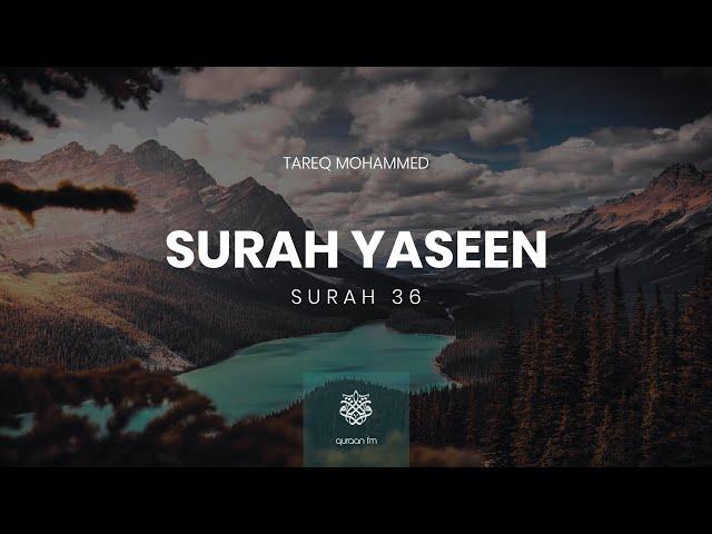 Surah Yaseen | Qari Tareq Mohammed | سورة يس | القارئ طارق محمد