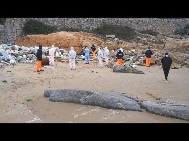 金門田浦海岸發現豬屍 立即處理與消毒 20190101 公視晚間新聞