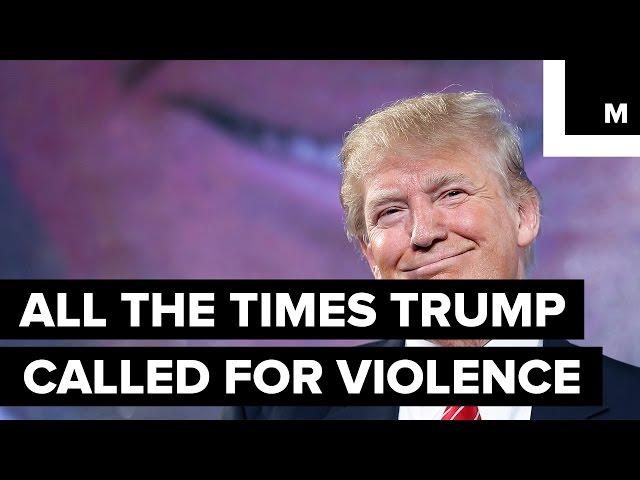 All the Times Trump Has Called for Violence at His Rallies