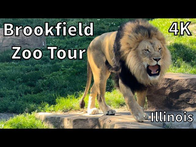 Brookfield Zoo Chicago Tour - Brookfield, Illinois - USA [4K]