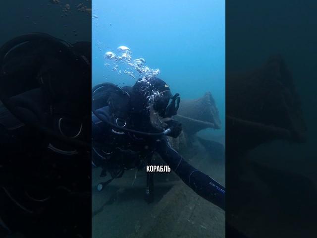 Затонувший корабль в Черном море  #aksenovscubadiving #дайвинг