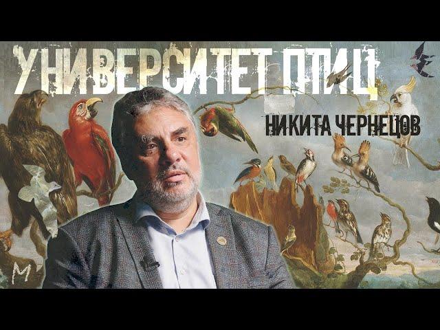 ПТИЦЫ: навигация, путешествия, зимовка, непознанное.