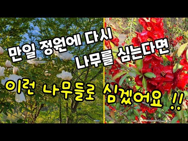 정원수추천,수많은 시행착오를 겪은후 다른사람에게 추천하고 싶은 정원수 12종류