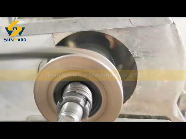 dog food machine video from jinan sunward machinery