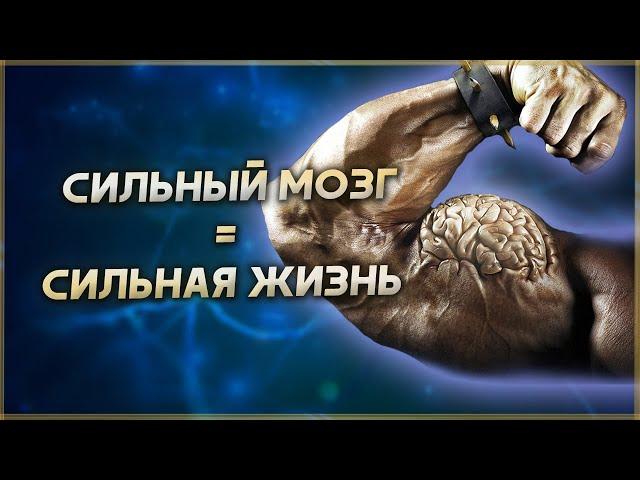 Сильный мозг = Сильная жизнь! Мотивация и Саморазвитие