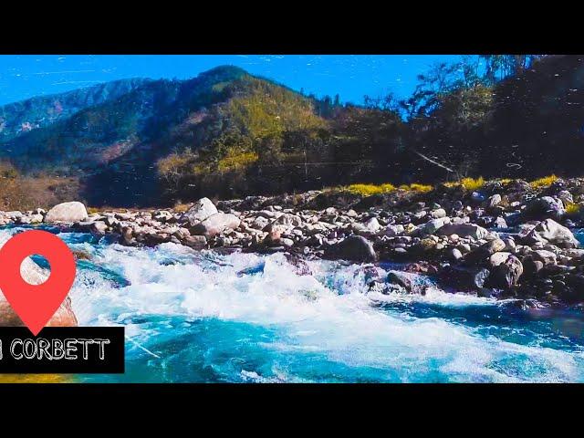 Exploring India | Jim Corbett | Holi Party 2020 | Covid-19