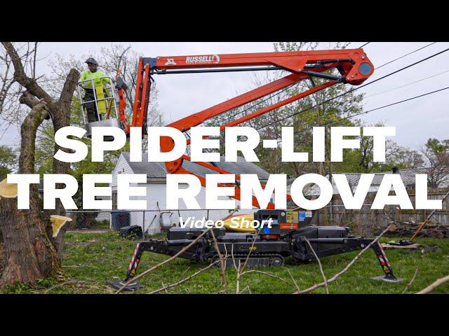 Spider-Lift Tree Removal Short