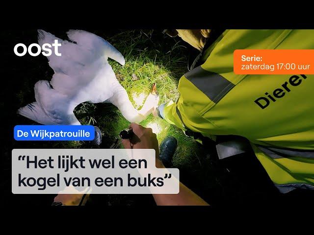 Laffe dierenbeul schiet prachtige zwaan dood | De Wijkpatrouille #2 | Oost