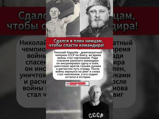 Николай Королёв Сдался в плен немцам, чтобы спасти командира! #интересныефакты #ссср #армия #история