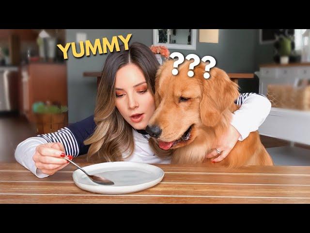 My Dog Reacts to the Invisible Food Challenge