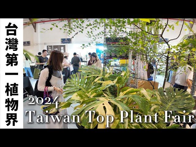 來台北松菸逛植物展～2024 Taiwan Top Plant Fair-第六屆 台灣第一植物界