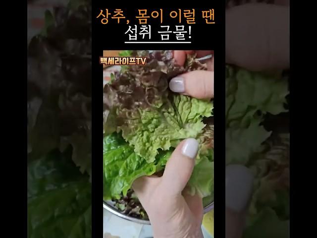 이럴 땐 상추가 독이 됩니다｜#시니어건강 #식습관주의
