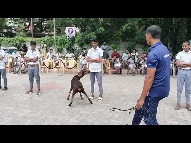 Tamilnadu Police Dog Show