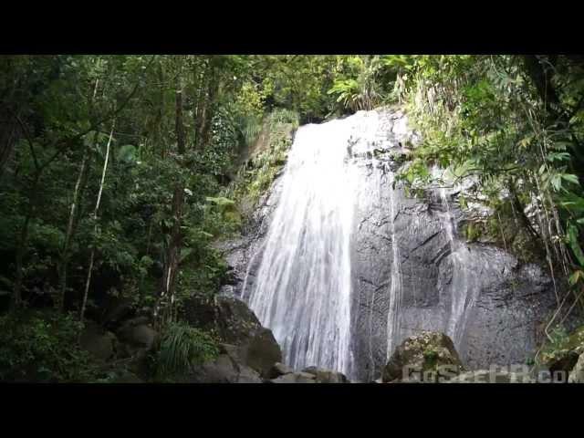 La Coca Waterfall in El Yunque National Forest Puerto Rico's Rain Forest