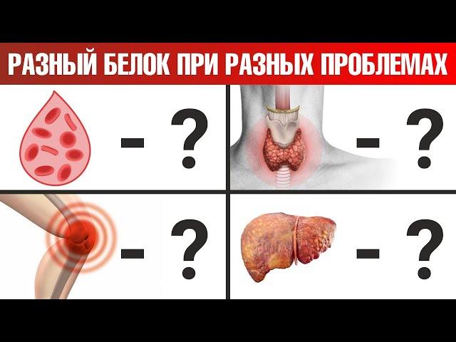 Какой вид белка нужен именно вам? Яйца? Мясо? Рыба?