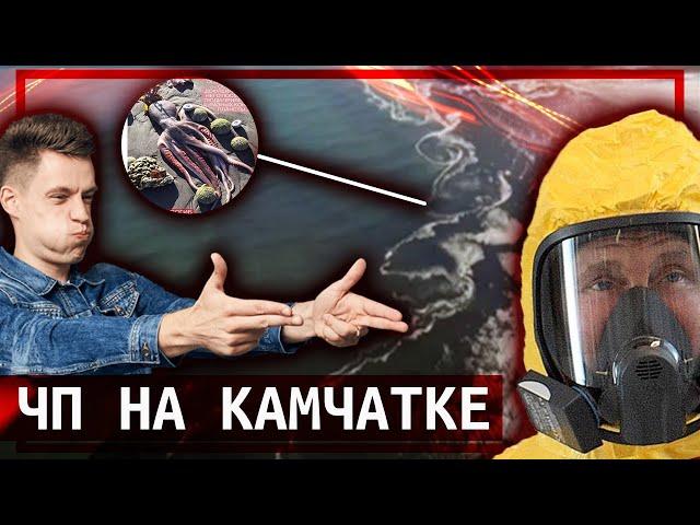 ️️️СРОЧНО! ЧП на Камчатке! Тихий океан в опасности // Клирик