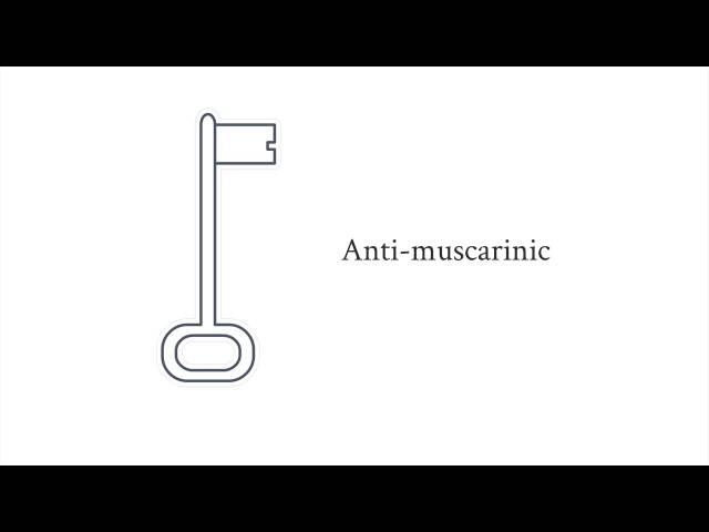Pharmacology - antiemetics