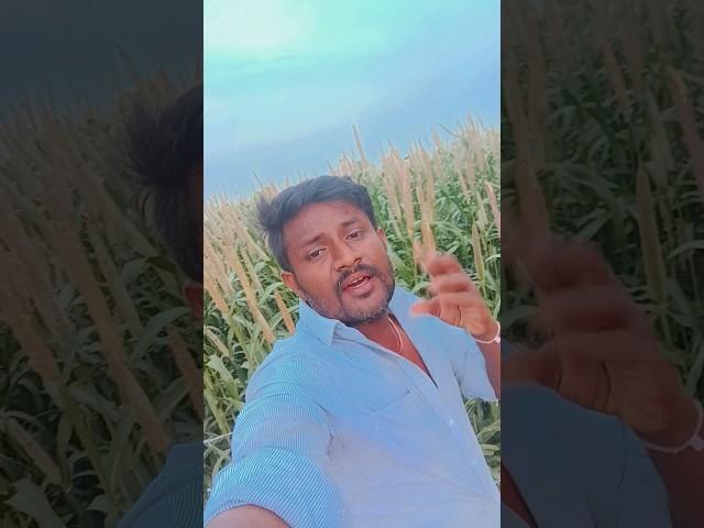 Life of Thakor ll Thakor's Family Vlogs#shortvideo  #lifeofthakor  #jslifestylevlog #gujju