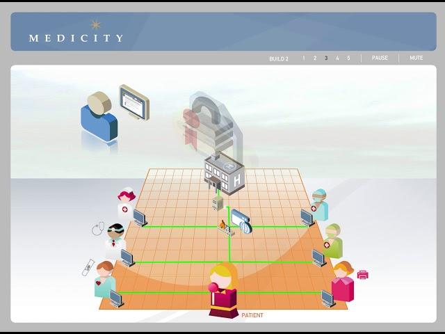Medicity Novo Grid Demo