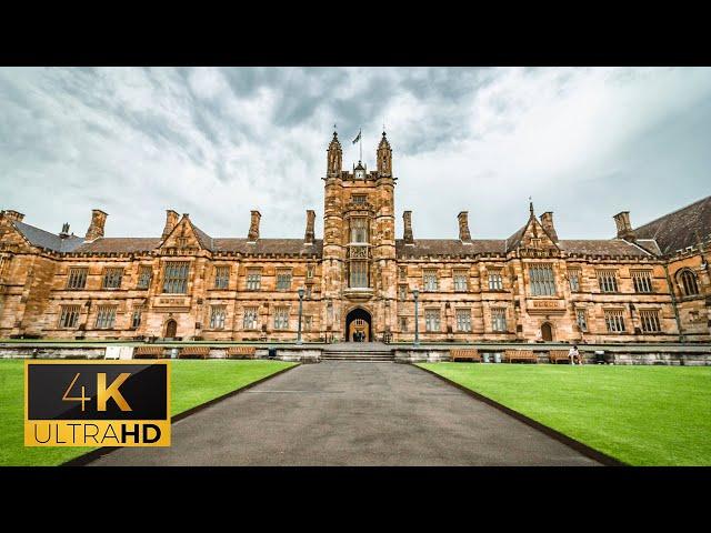 The University of Sydney Campus Tour | Sydney Australia Walking Tour | 4K Ultra HD