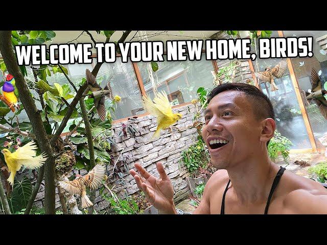 Releasing Our New Flock of Songbirds Into Our Revamped Giant Aviary | Vlog #1697