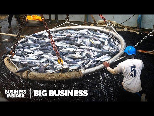 7 Of The Most Faked Seafoods In The World | Big Business | Business Insider