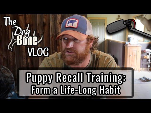 Puppy Recall Training YouTube | The DogBone VLOG: Ep: #88