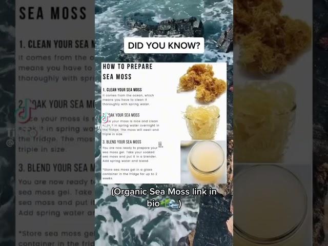 How To Prepare Sea Moss #seamoss #seamossgel #seamossbenefits #drsebi #algae