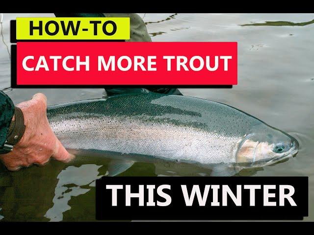 Catch More Trout This Winter (lures, how to make the most of them)