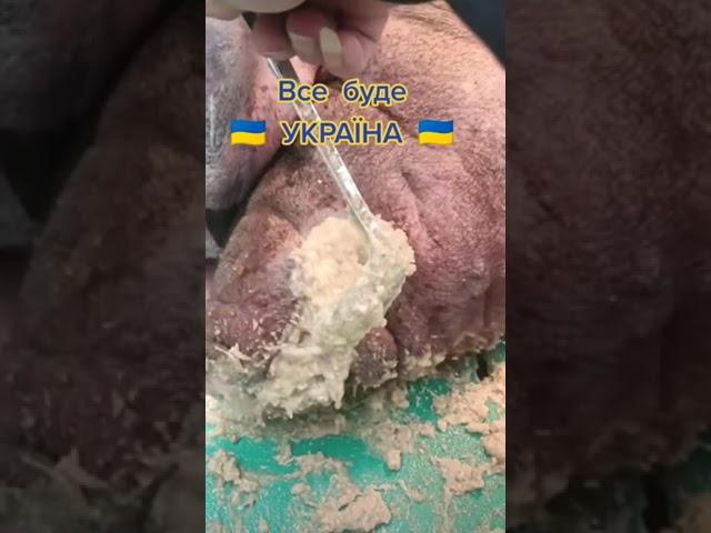 450 шт.  ГОВНА в раде  перерезать НАФИГ !!!