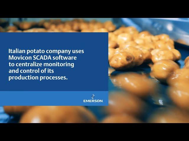 Italian Potato Company Uses Movicon SCADA Software