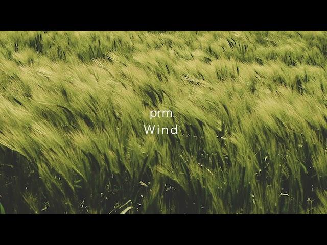 prm. - Wind (Official Audio)