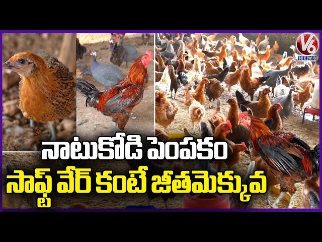 Natu Kodi (Country Chicken) Farming At Mulakalapalli | Yadadri Bhuvanagiri | V6 News