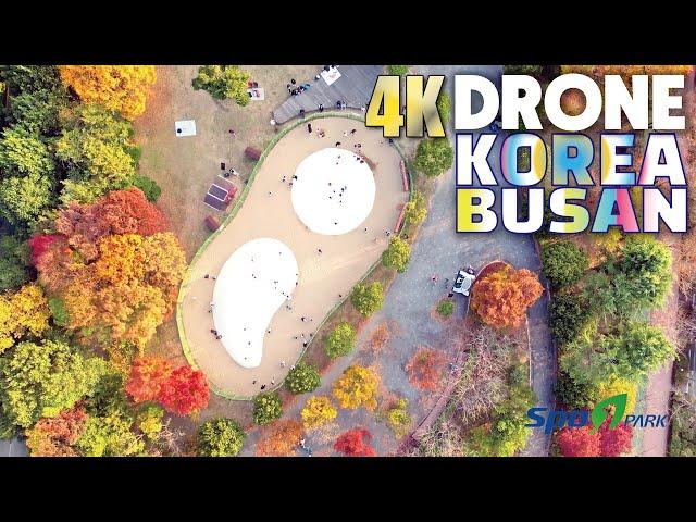 4K FLYING OVER AUTUMN SPO1 in BUSAN KOREA DRONE VIDEO DRONE SHOT 부산 가을 스포원파크 금정체육공원 드론영상 드론비디오 드론샷