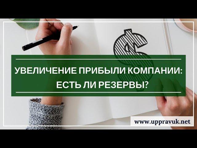 Увеличение прибыли компании: есть ли резервы?