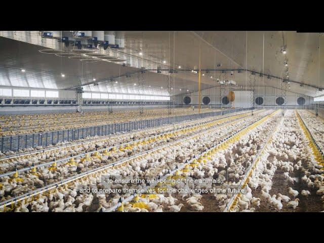 SKOV Climate and Farm Management for Poultry in Temperate Climate – English