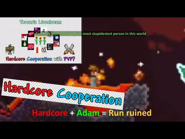 What happened in Terraria Co-Op Hardcore with Terraria Youtubers, with adam...