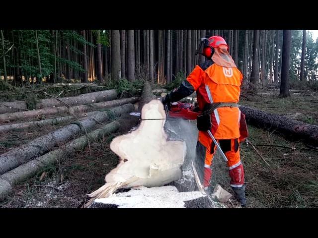 Husqvarna 572XP Chain saw TOP FELLING!!!