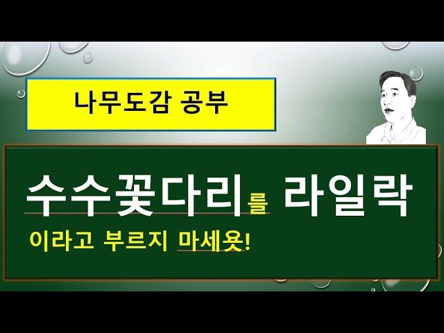 수수꽃다리 vs 라일락 vs 정향나무 : 서로 다른 차이점