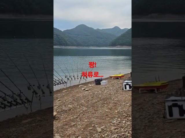 충주호(청풍권) 장어낚시#민물장어 #장어낚시 #장어 #충주댐