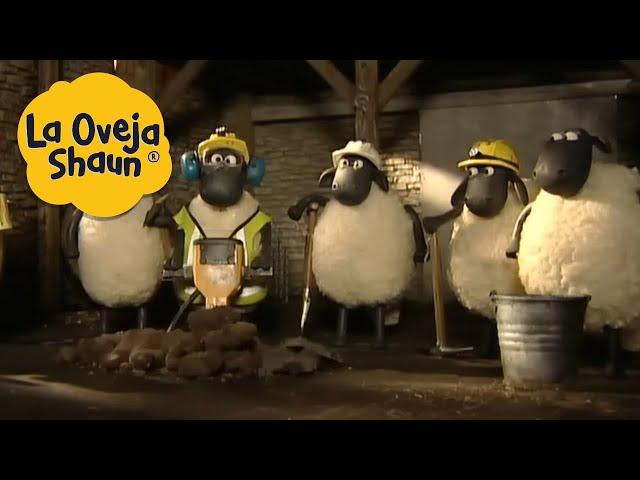 La Oveja Shaun  Ovejas de construcción  Dibujos animados para niños